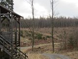 Aussichtsplattform und Schutzhütte Kyrillturm 12