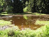 17-Teich-an-der-Hackelberghuette-2